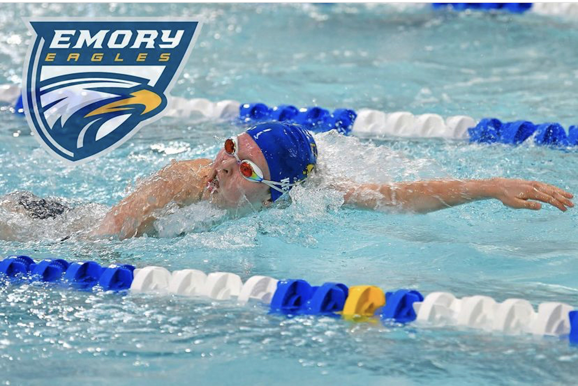 swimmer swimmer