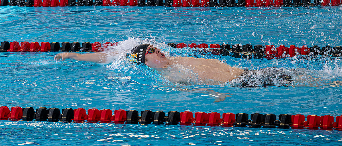 Stingers Swim and Run at State - Seven Hills School